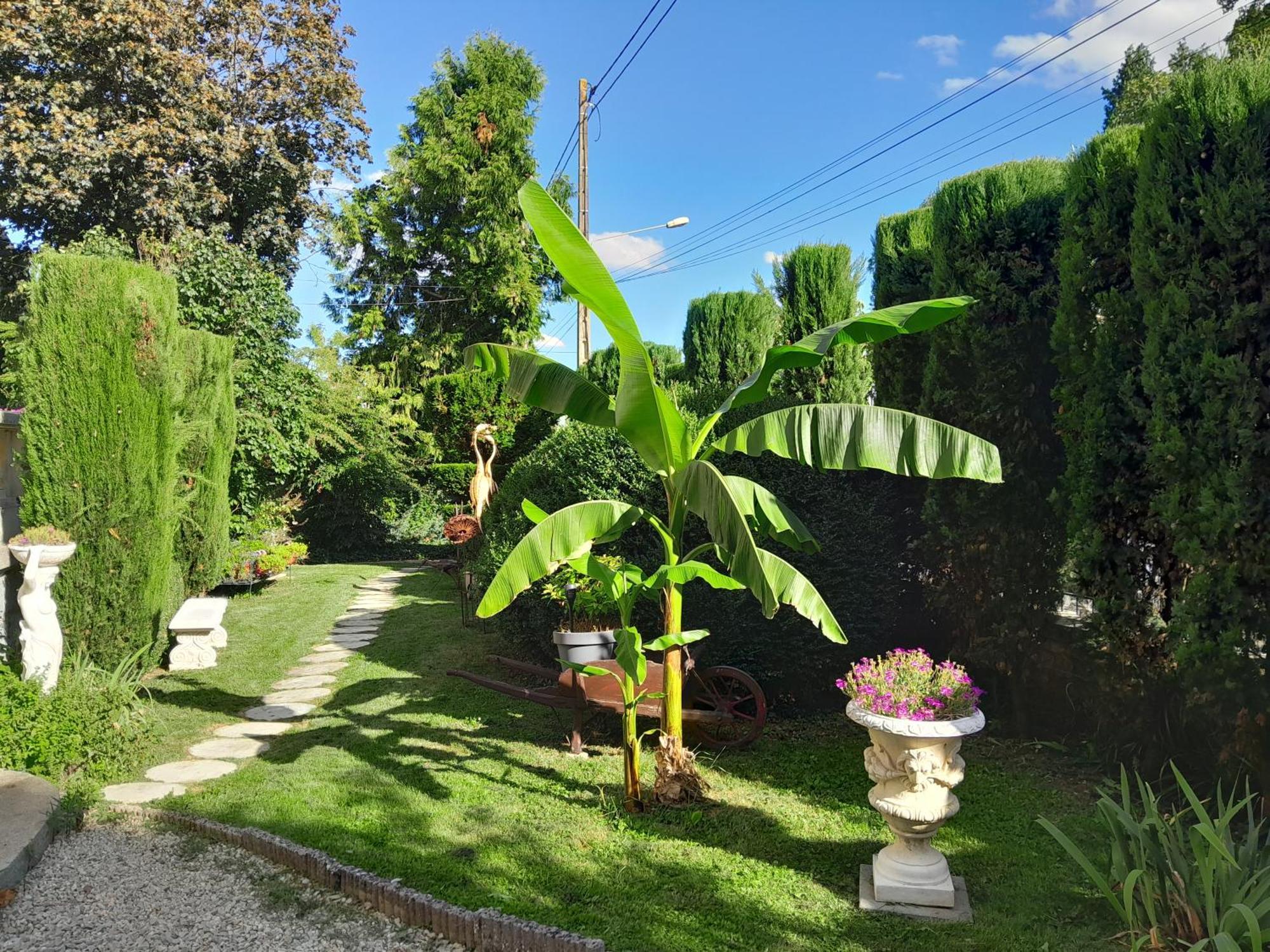 Le Madrigal Bed & Breakfast Mamers Exterior photo
